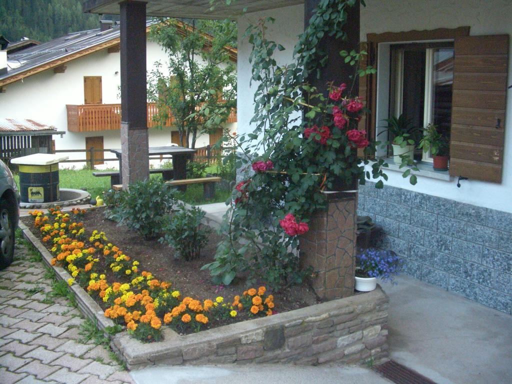Ferienwohnung Mountain Chalet Cime D'Auta Dolomiti Falcade Exterior foto